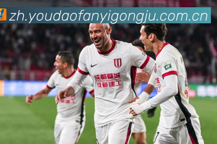 关于有道翻译